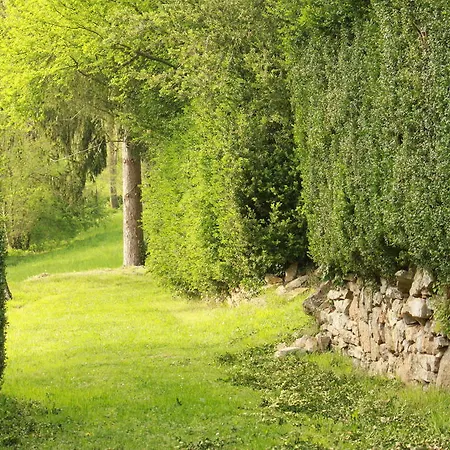 Domaine Le Broual