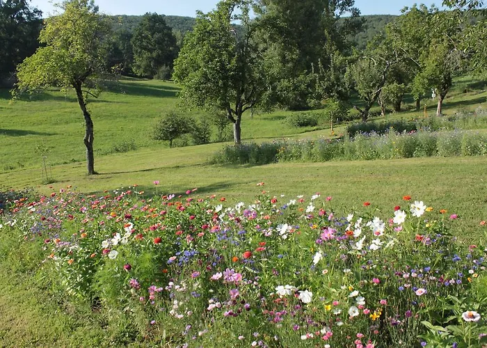 Domaine Le Broual Saint-Pierre-Toirac