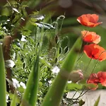 Bed & Breakfast Domaine Le Broual 3*