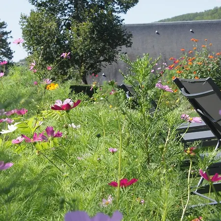 Bed & Breakfast Domaine Le Broual