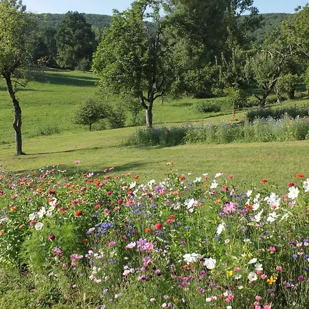 Domaine Le Broual Saint-Pierre-Toirac
